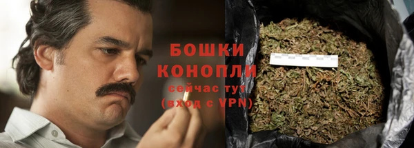 прущие грибы Зеленокумск