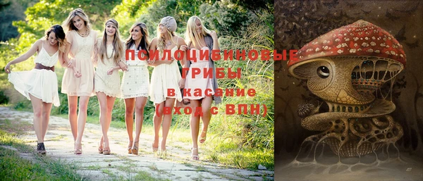 прущие грибы Зеленокумск