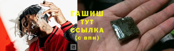 прущие грибы Зеленокумск