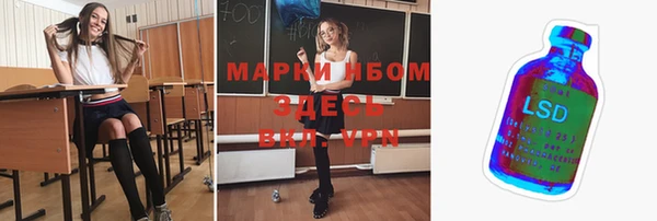 прущие грибы Зеленокумск