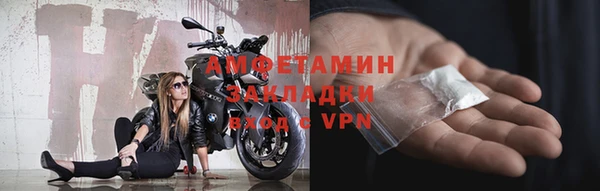 прущие грибы Зеленокумск
