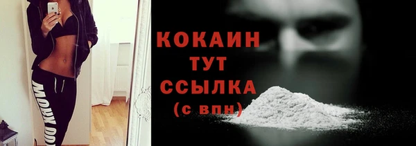 прущие грибы Зеленокумск