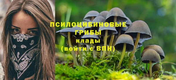 прущие грибы Зеленокумск