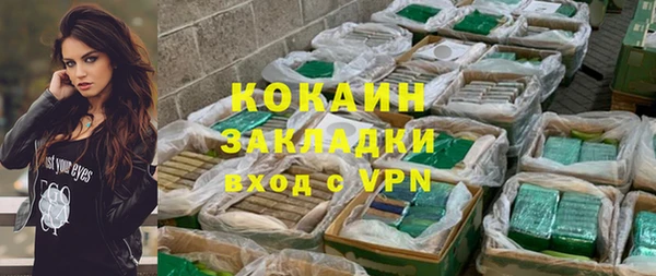 прущие грибы Зеленокумск