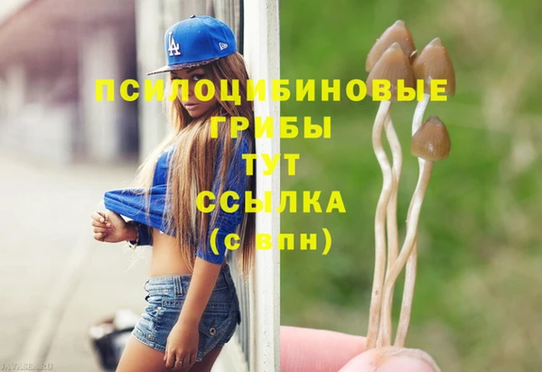 прущие грибы Зеленокумск