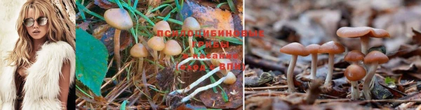 прущая мука Зерноград